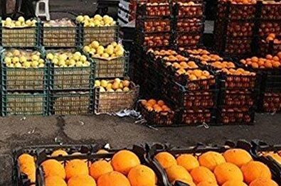 توزیع پرتغال و سیب تنظیم بازار در روز‌های پایانی سال